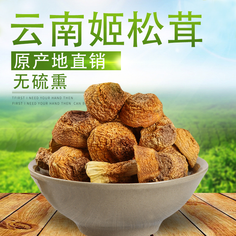 新型食用菌赤松茸在我市实验种植成功